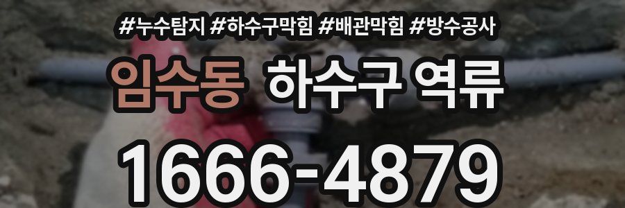 임수동 하수구 역류