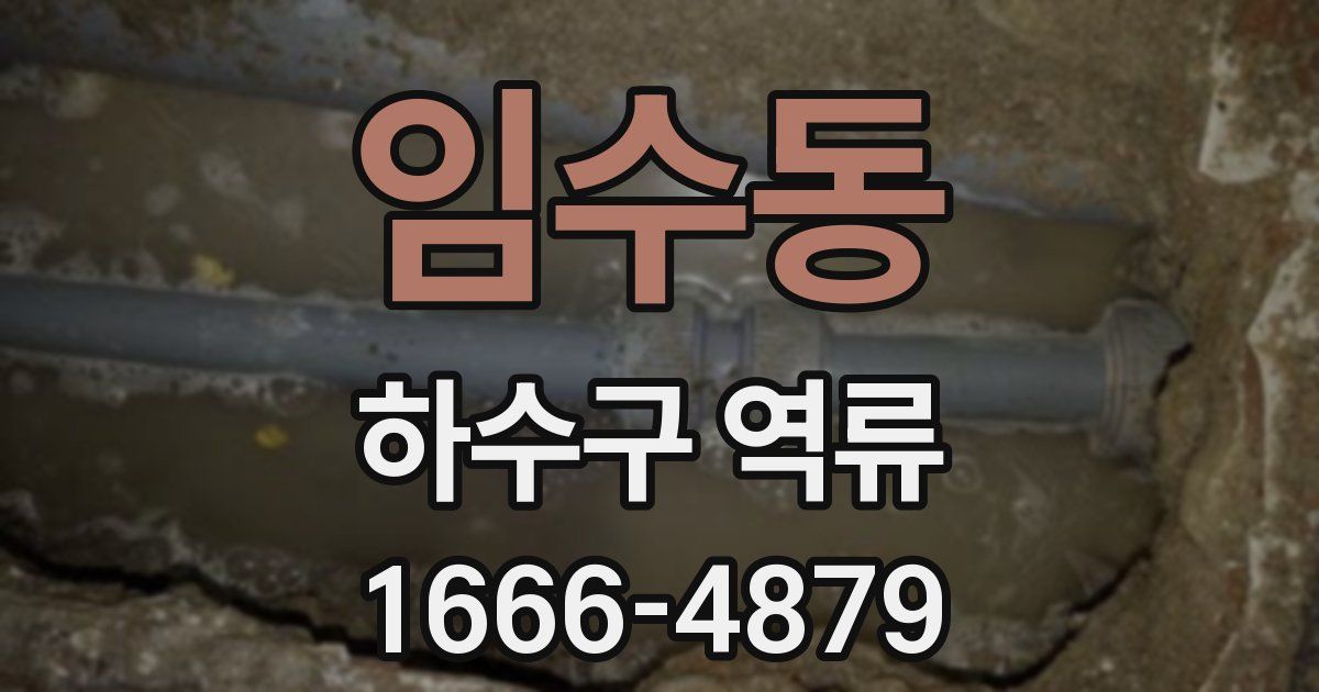 임수동 하수구 역류