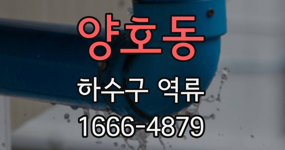 양호동 하수구 역류