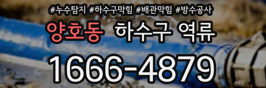 양호동 하수구 역류