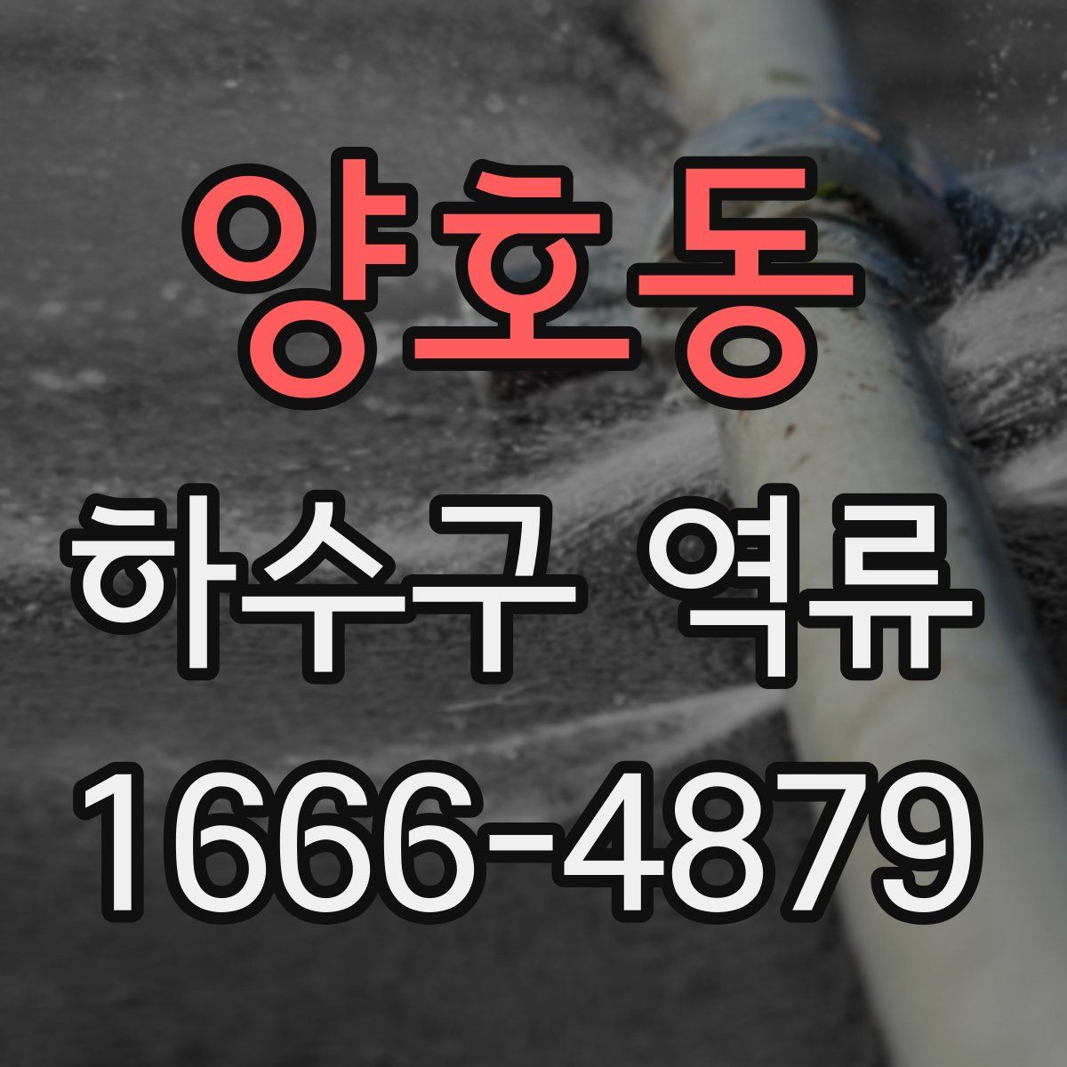 양호동 하수구 역류