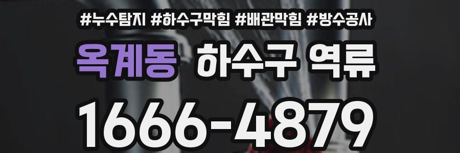 옥계동 하수구 역류