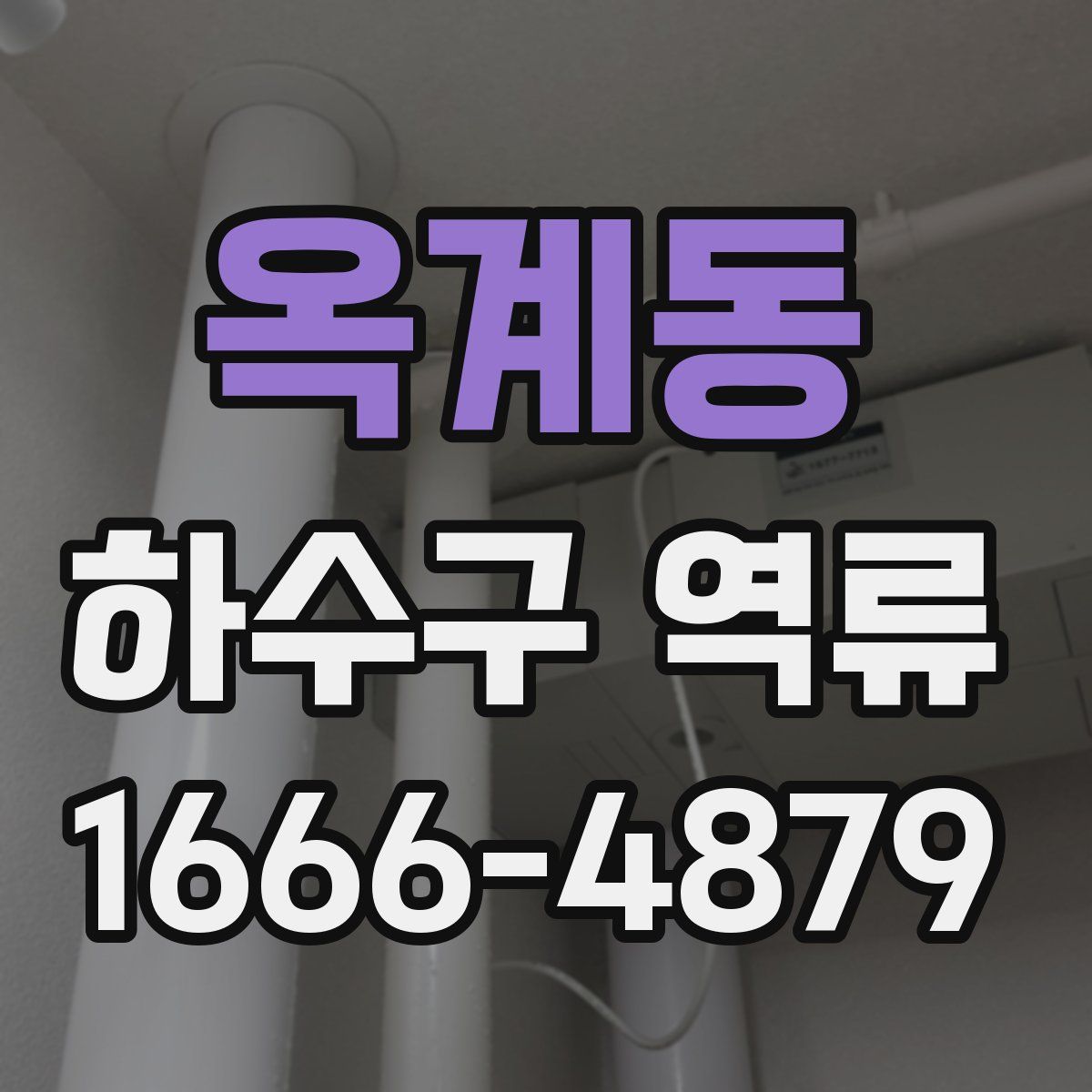 옥계동 하수구 역류