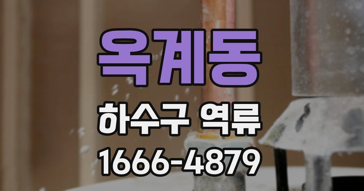 옥계동 하수구 역류