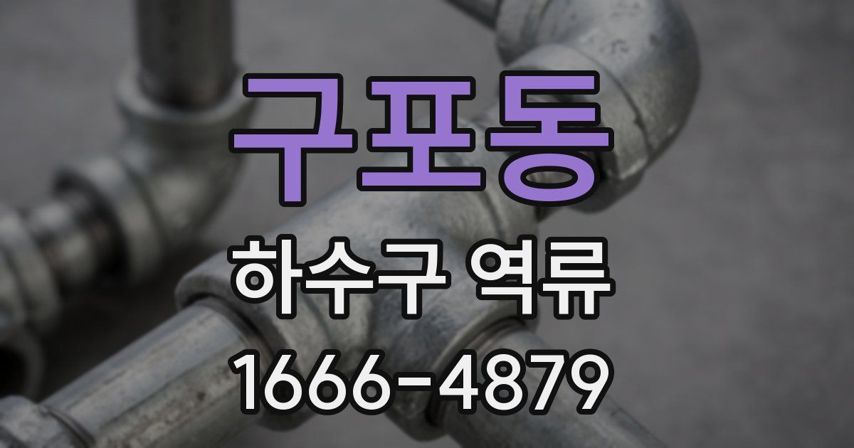 구포동 하수구 역류