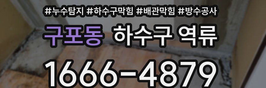 구포동 하수구 역류