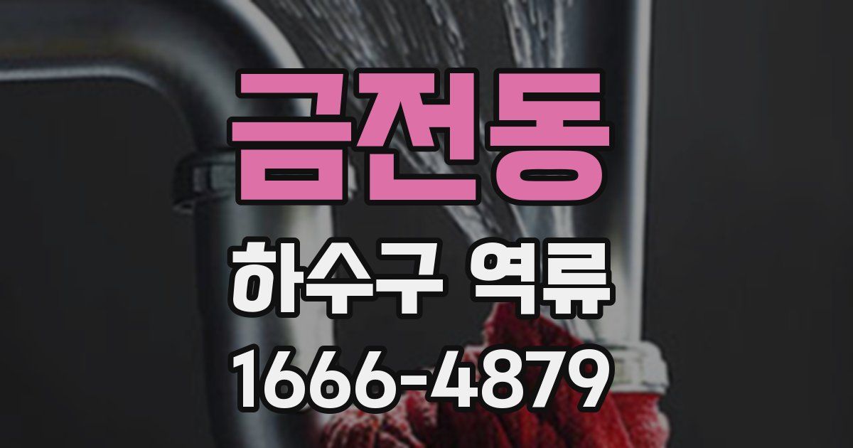 금전동 하수구 역류