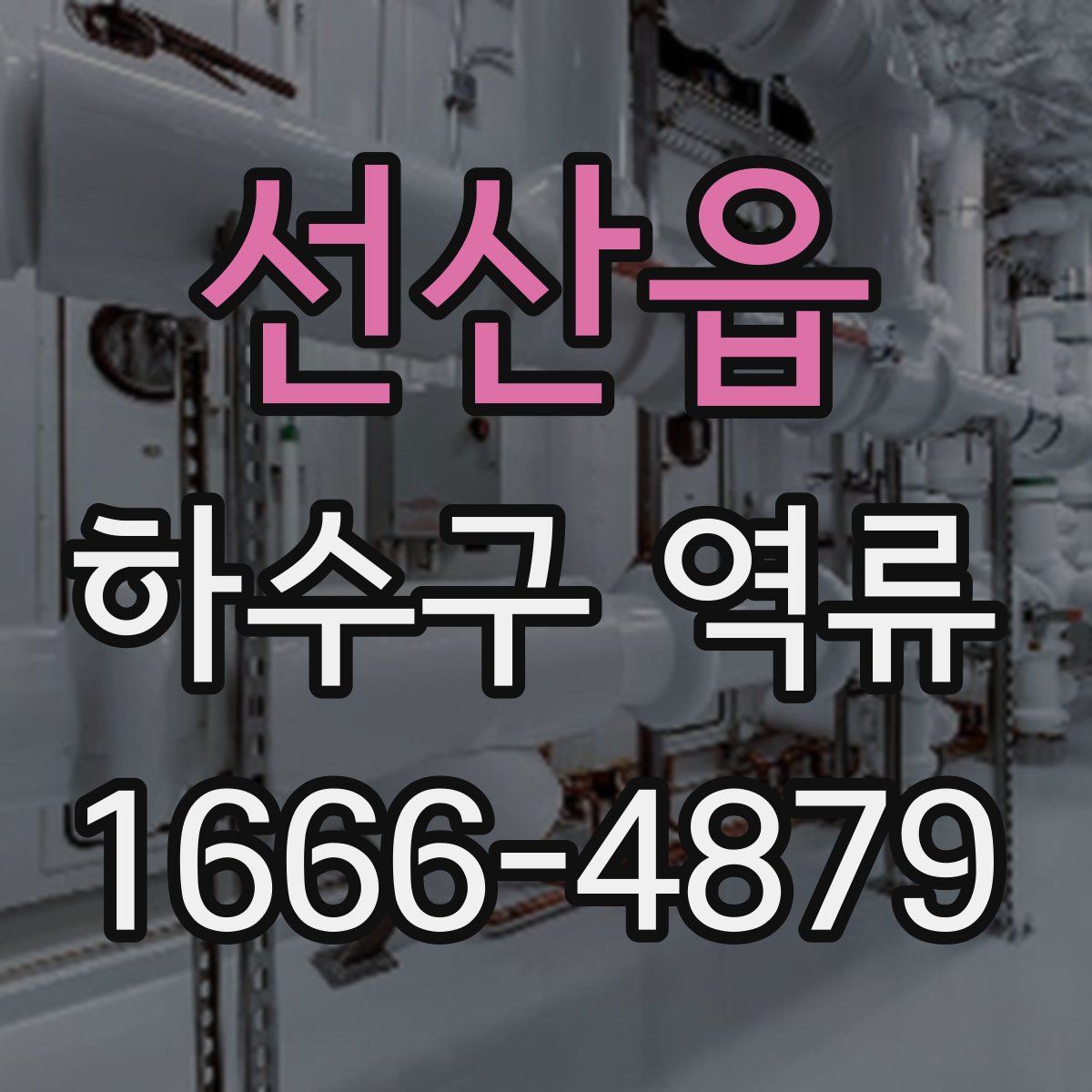 선산읍 하수구 역류