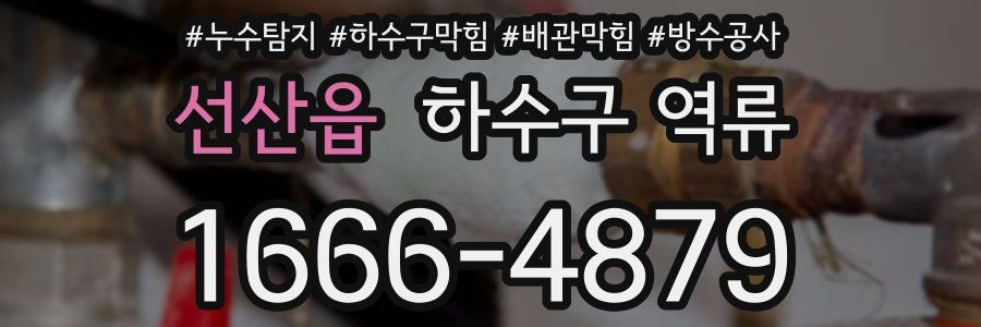 선산읍 하수구 역류
