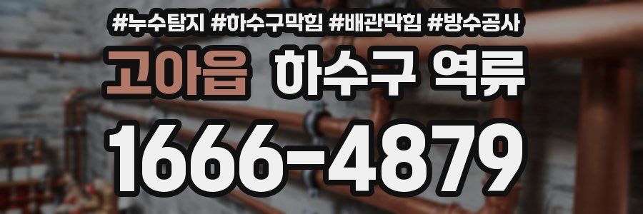 고아읍 하수구 역류