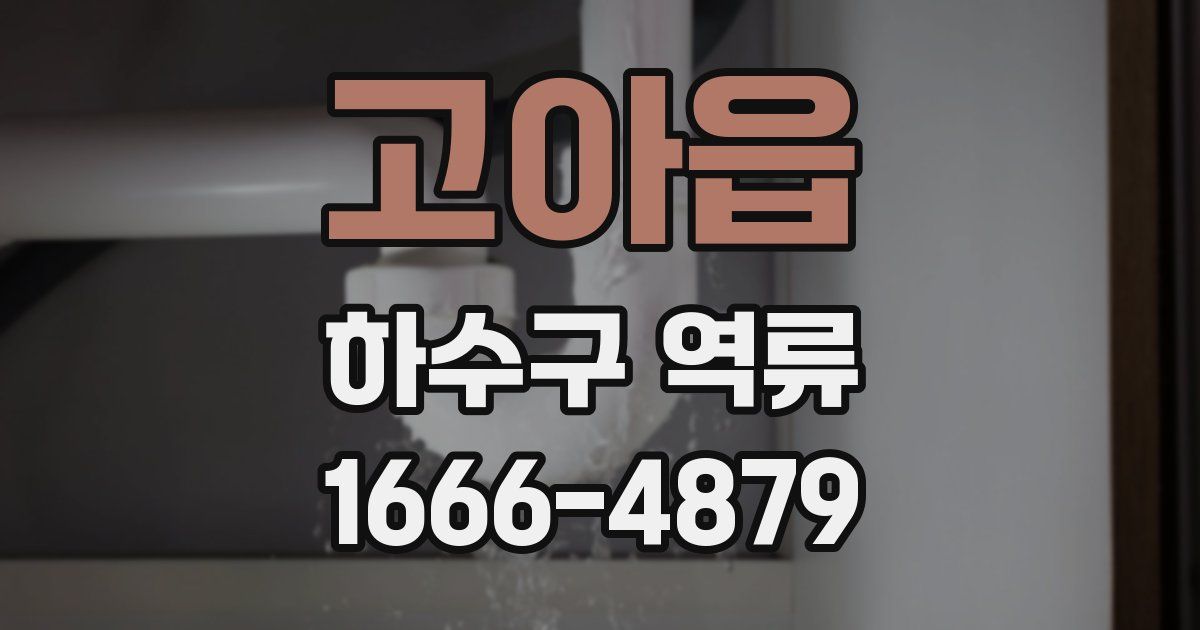 고아읍 하수구 역류