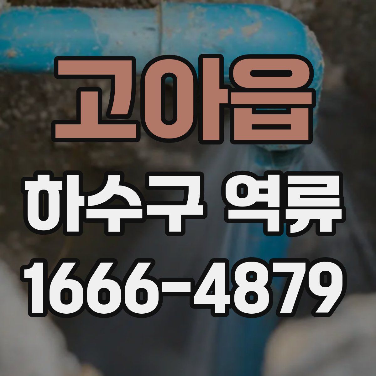 고아읍 하수구 역류