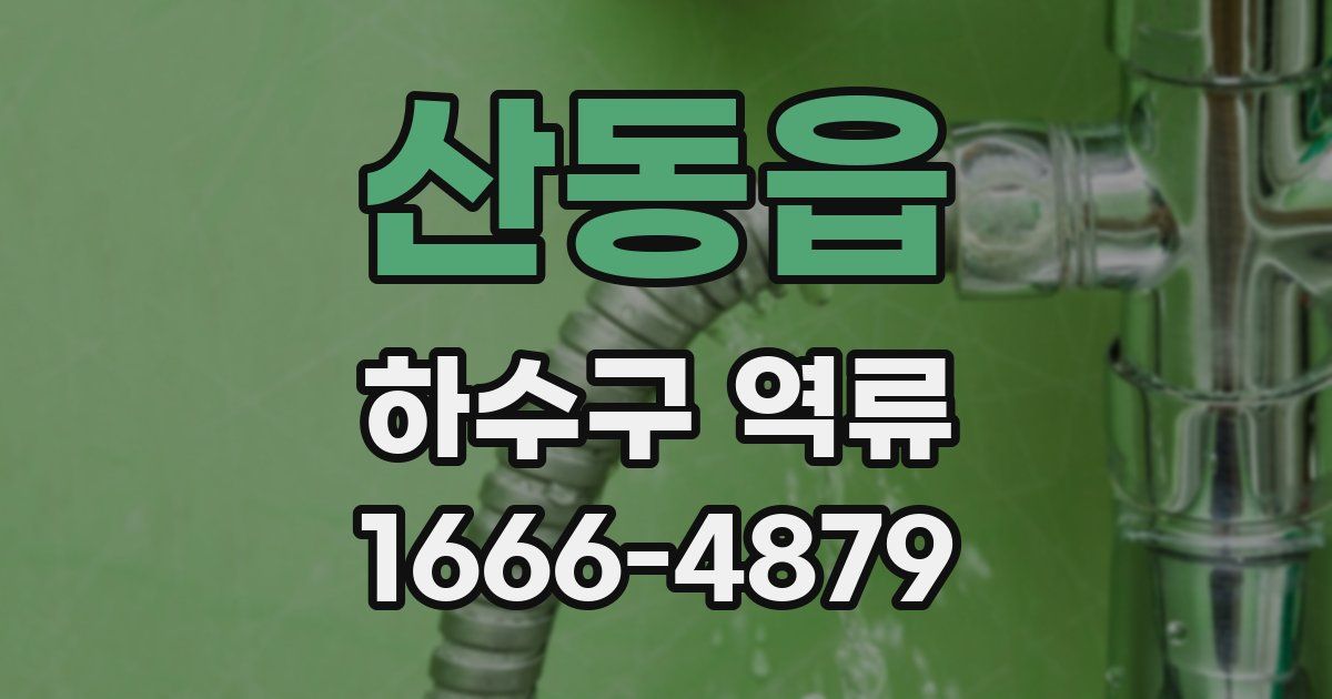 산동읍 하수구 역류