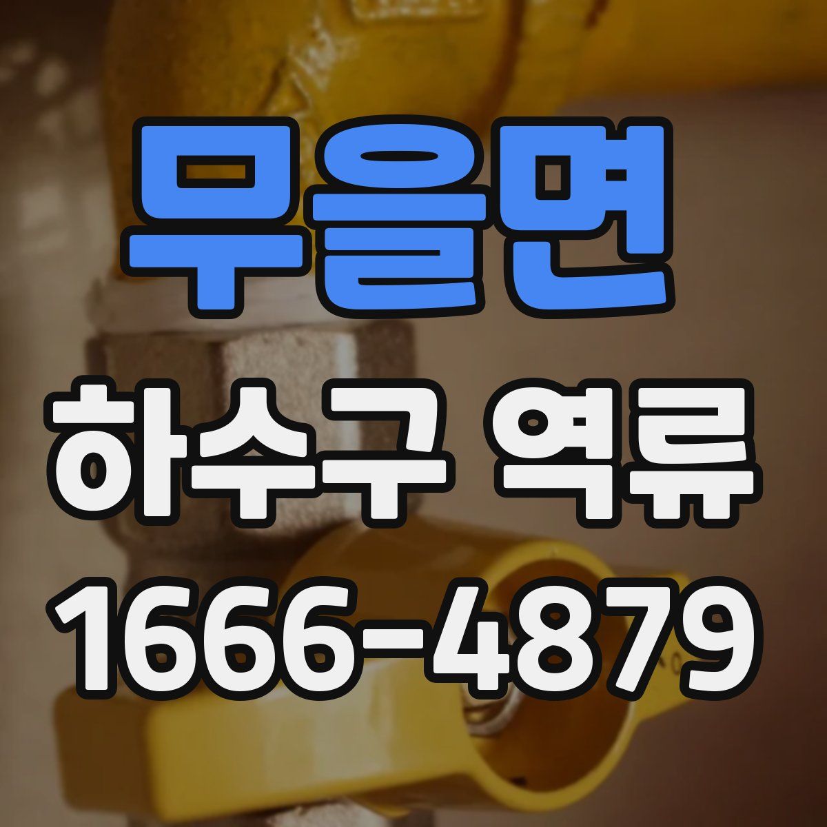 무을면 하수구 역류