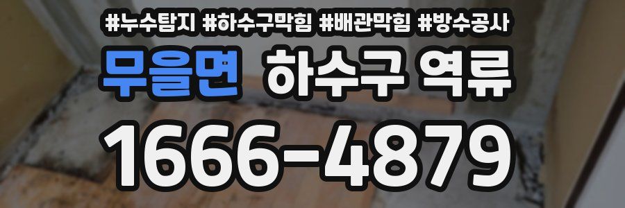 무을면 하수구 역류