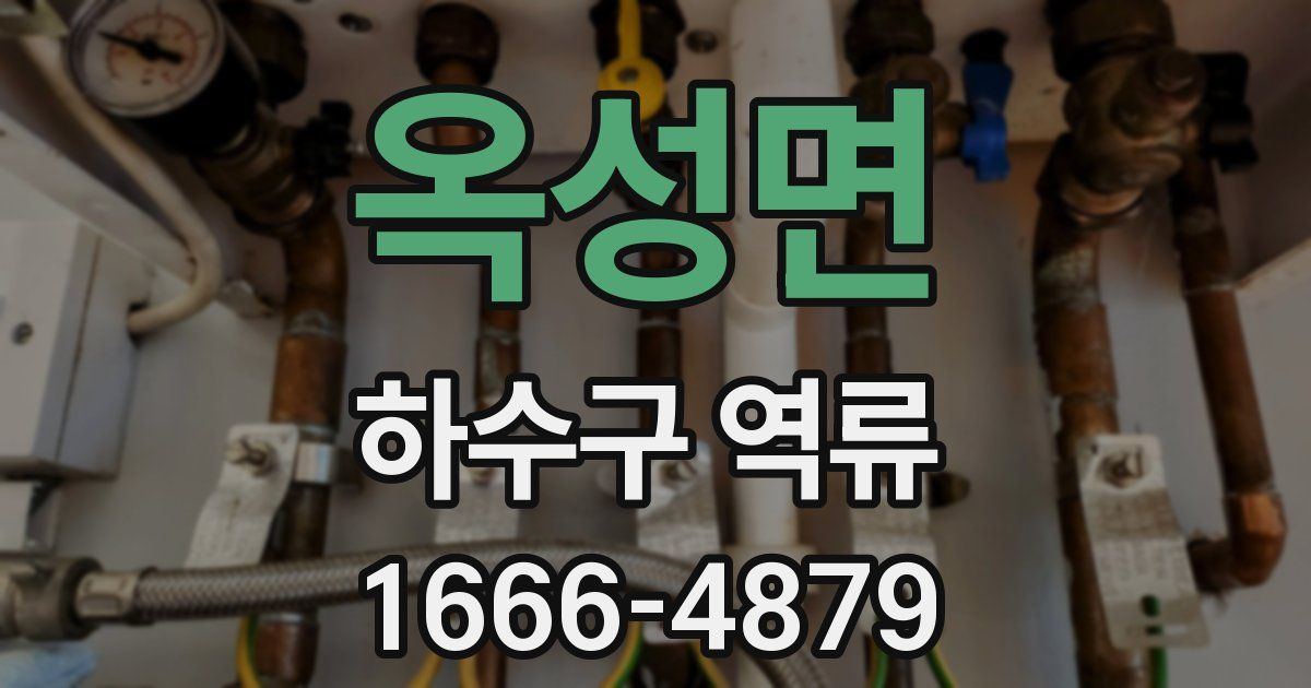 옥성면 하수구 역류