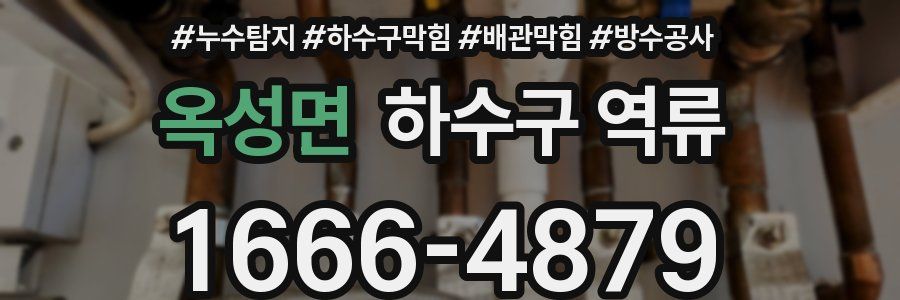 옥성면 하수구 역류