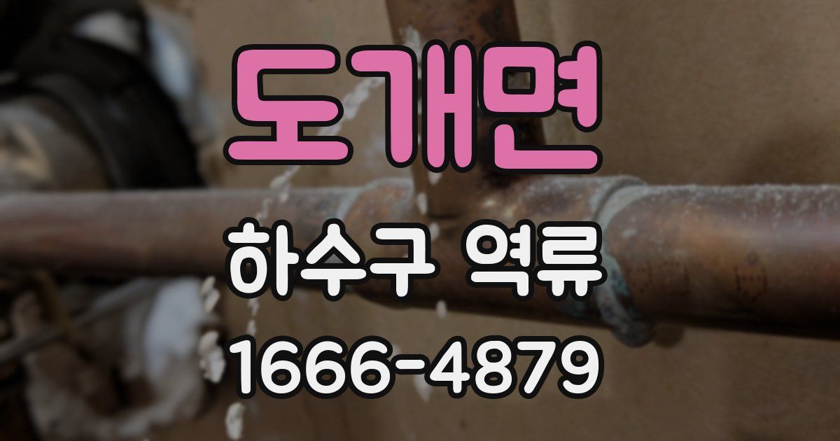 도개면 하수구 역류