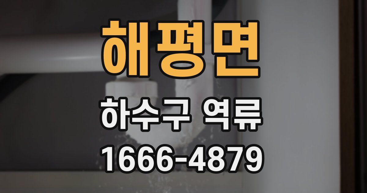 해평면 하수구 역류