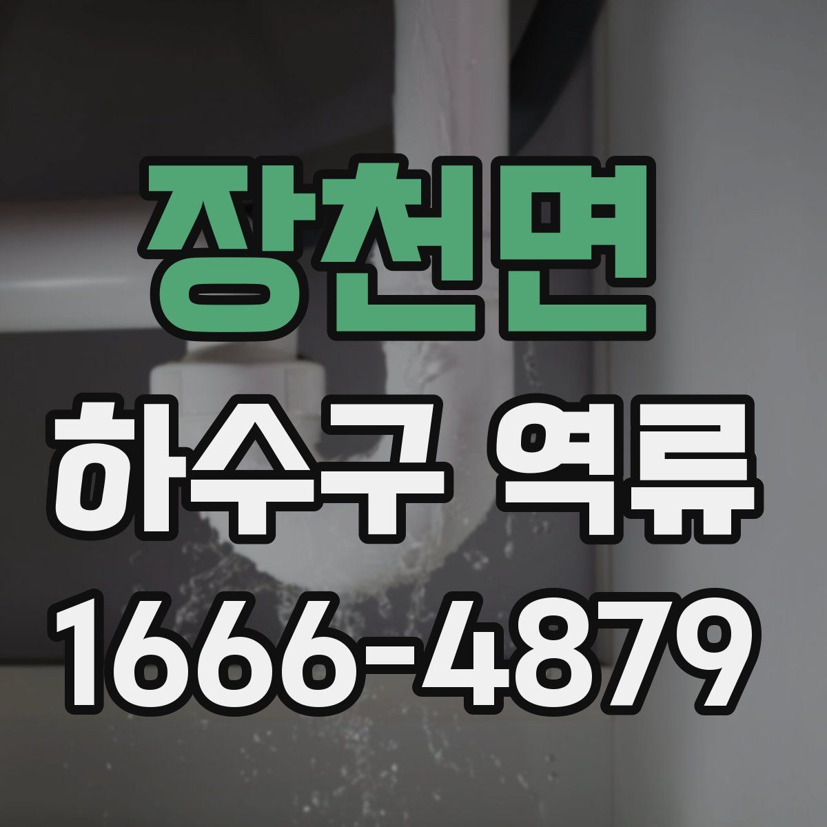 장천면 하수구 역류