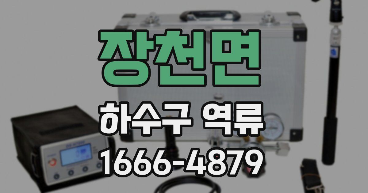 장천면 하수구 역류