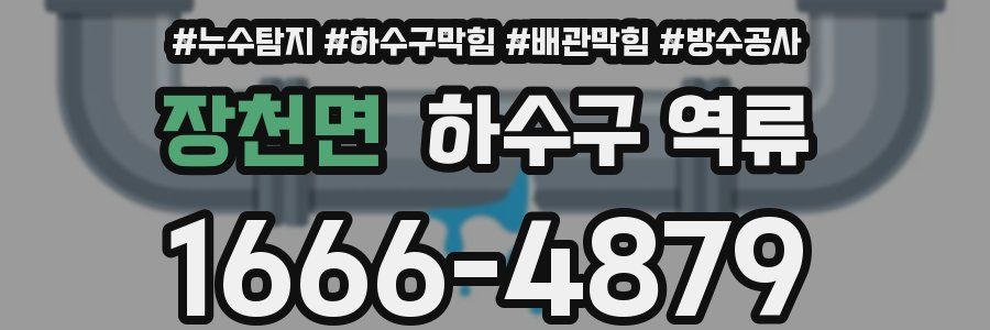 장천면 하수구 역류