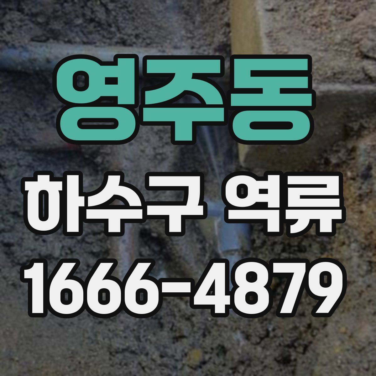 영주동 하수구 역류