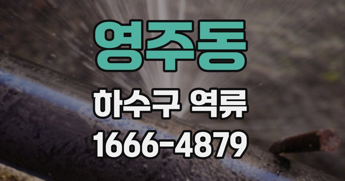 영주동 하수구 역류
