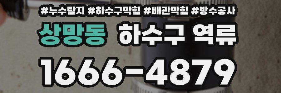 상망동 하수구 역류