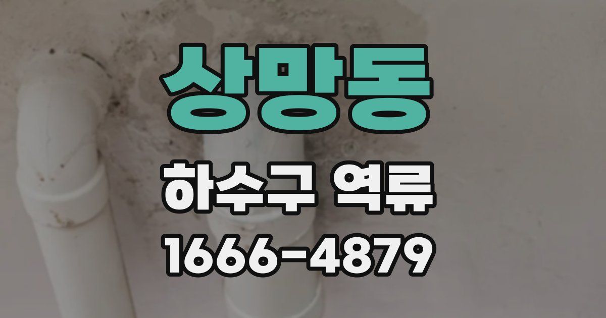 상망동 하수구 역류