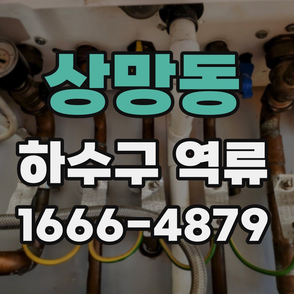 상망동 하수구 역류
