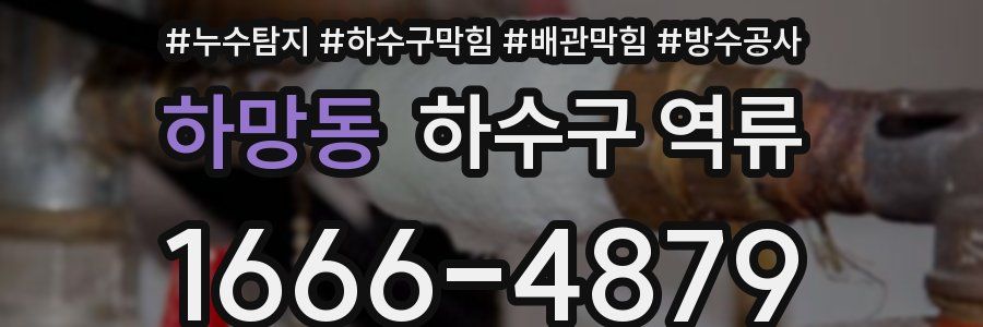 하망동 하수구 역류