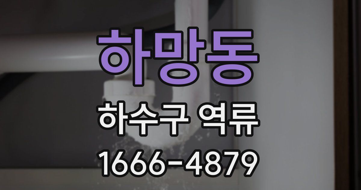 하망동 하수구 역류