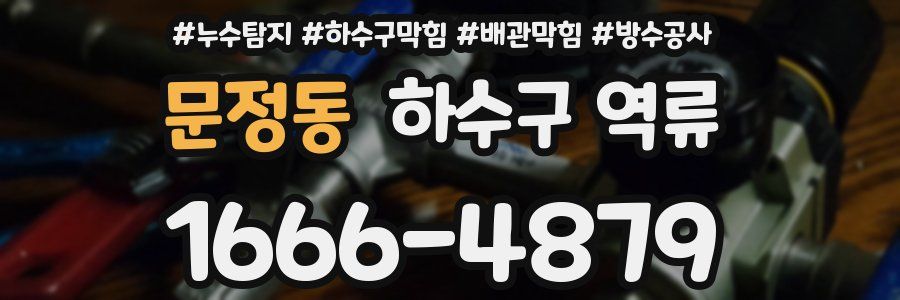 문정동 하수구 역류