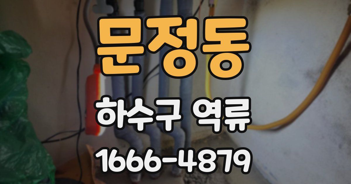 문정동 하수구 역류