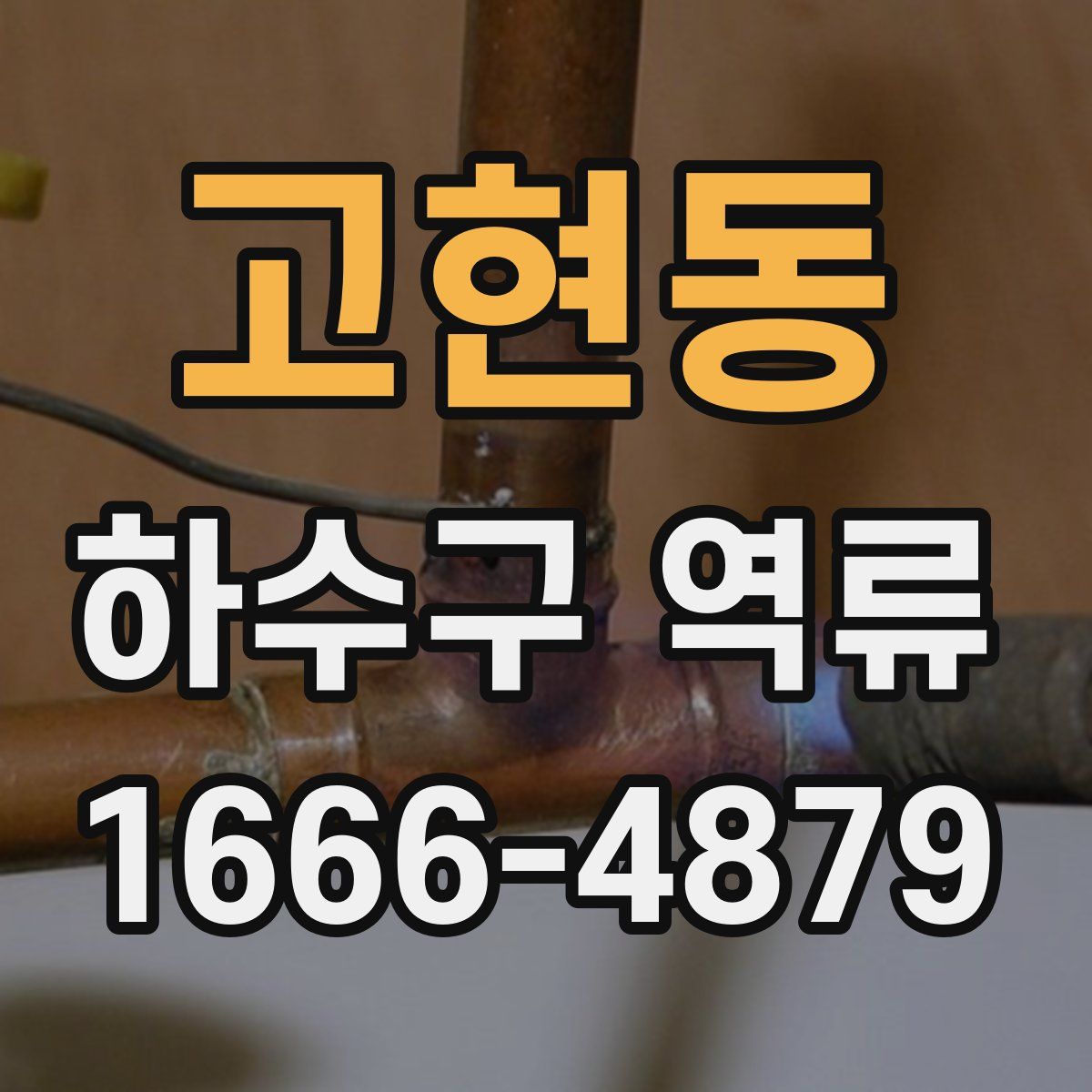고현동 하수구 역류