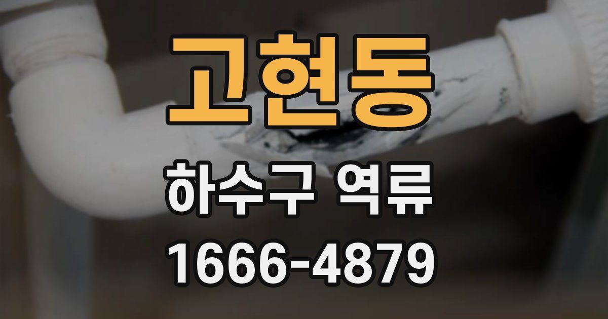 고현동 하수구 역류