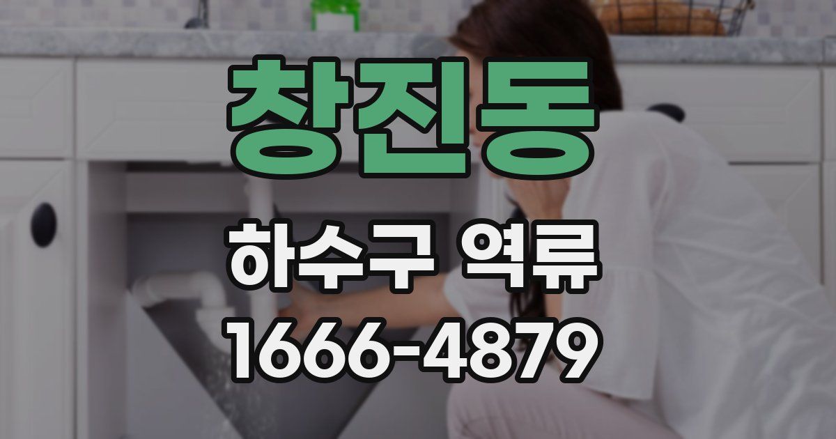 창진동 하수구 역류