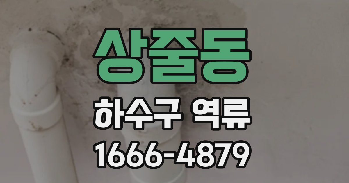 상줄동 하수구 역류