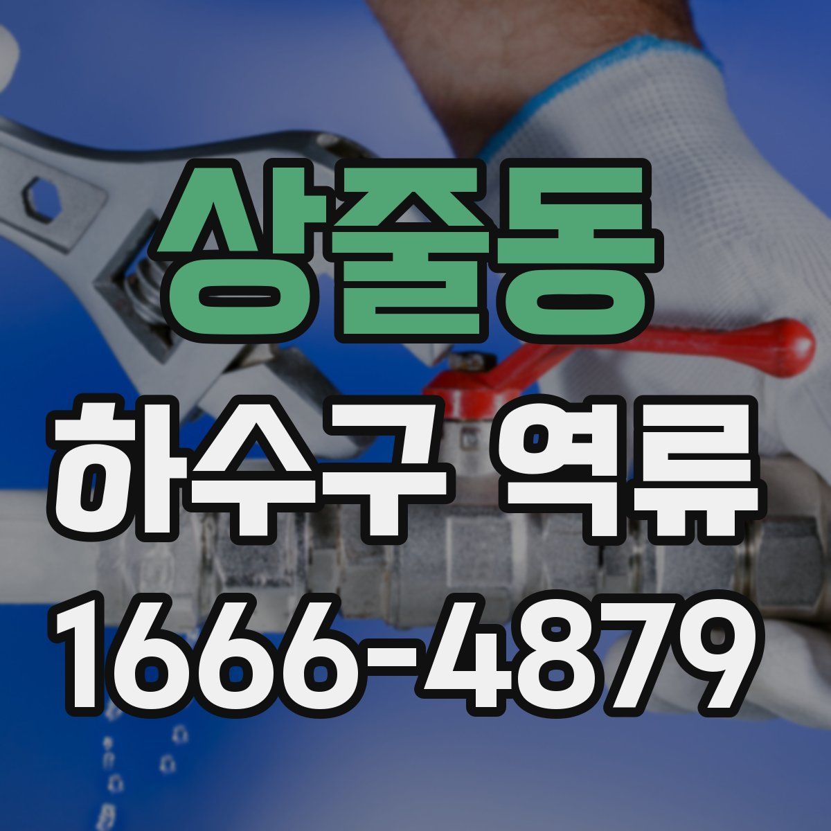 상줄동 하수구 역류