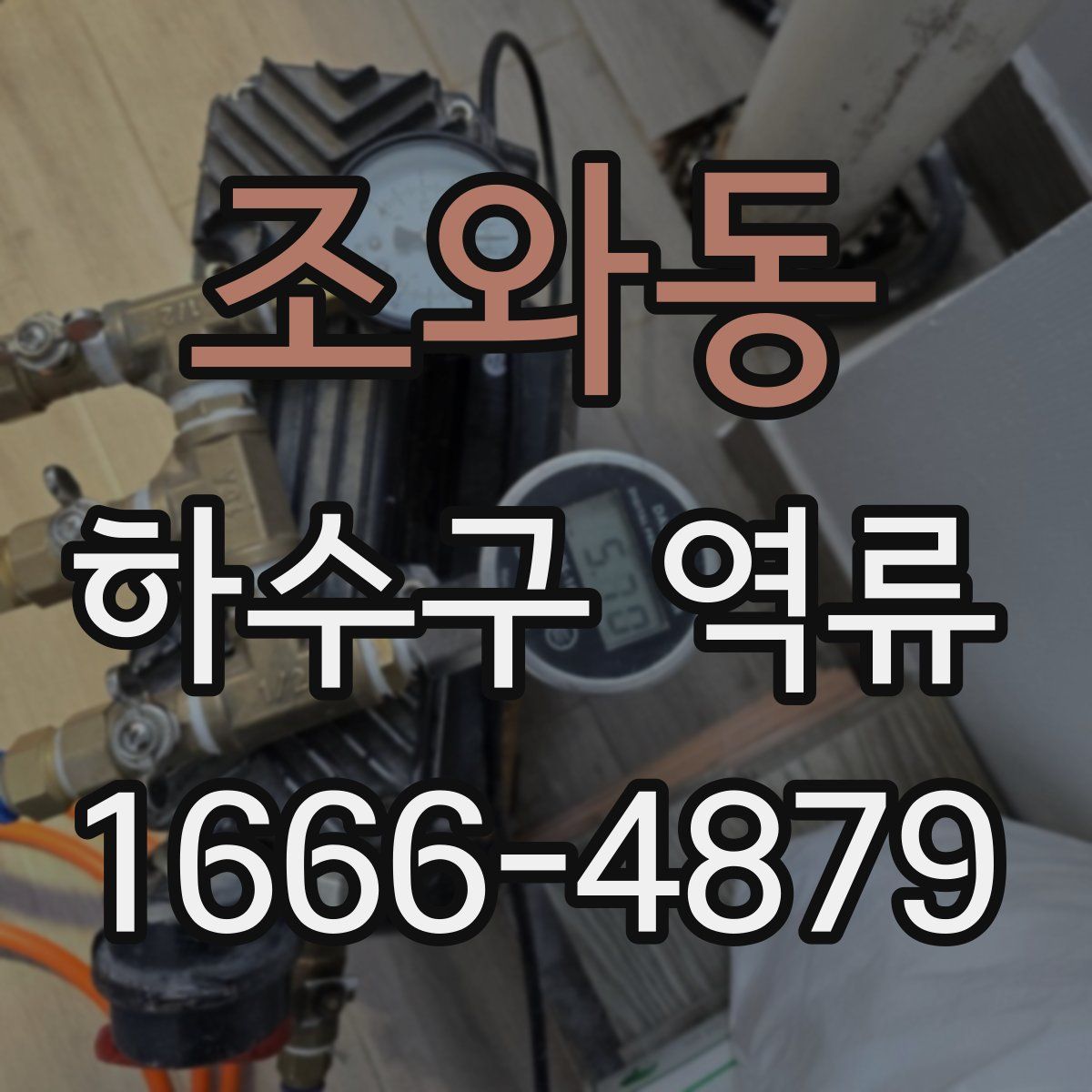 조와동 하수구 역류
