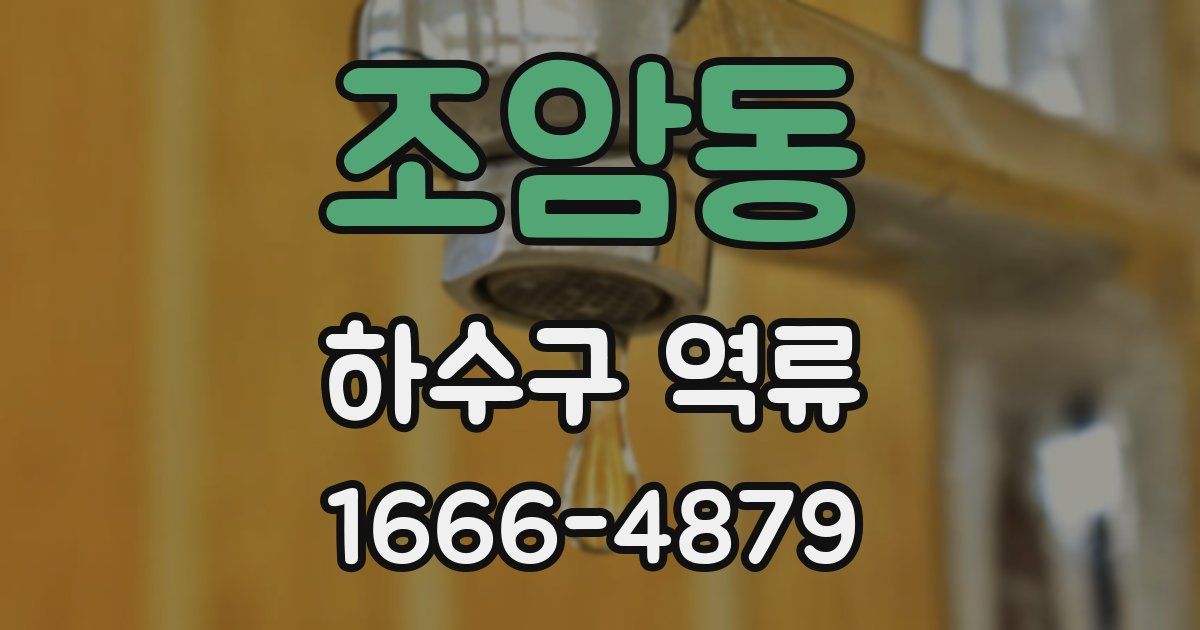 조암동 하수구 역류