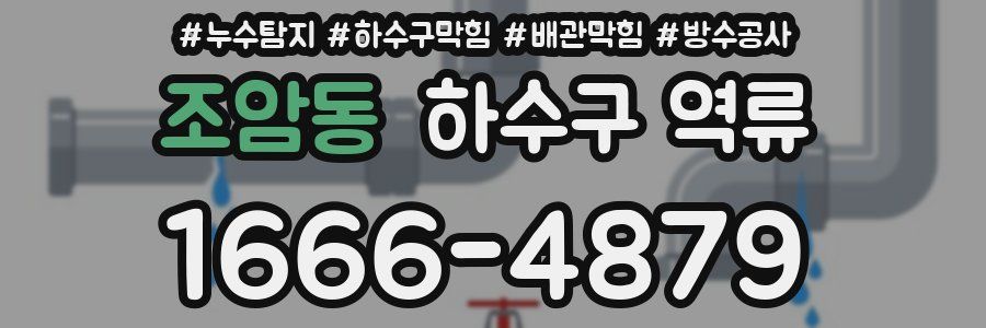 조암동 하수구 역류