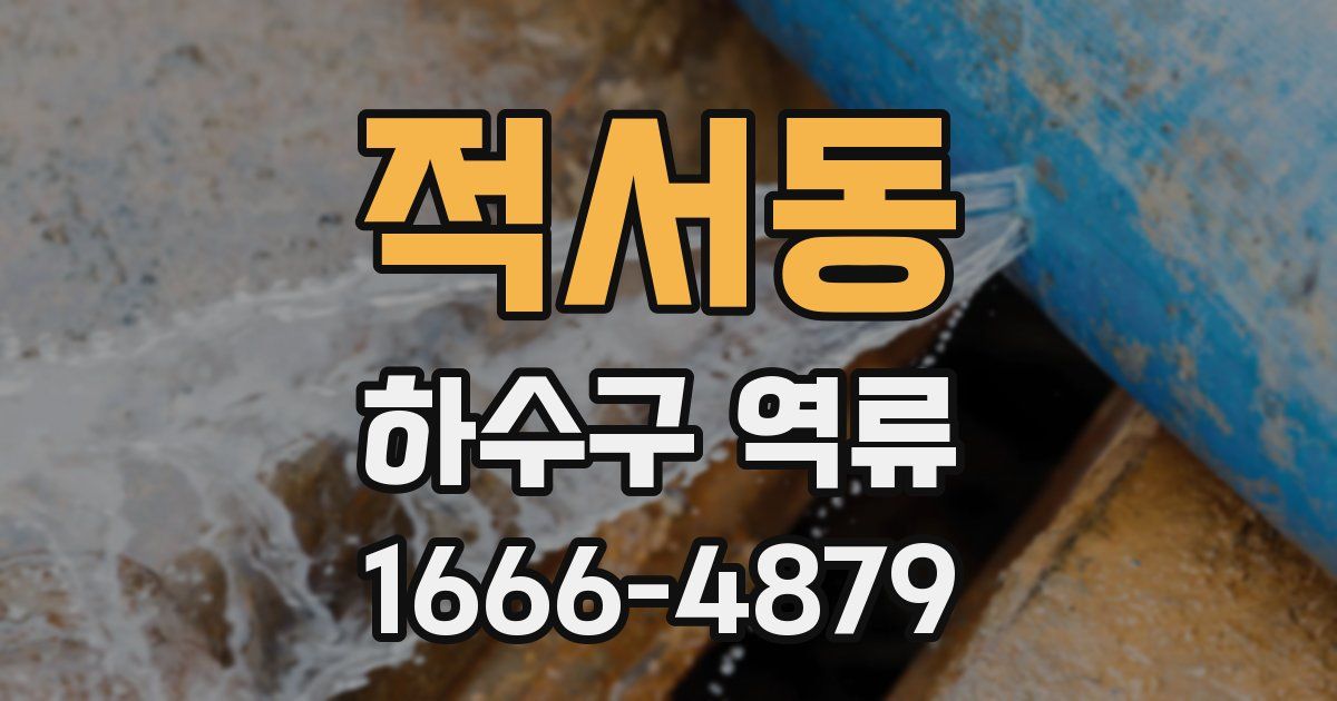 적서동 하수구 역류