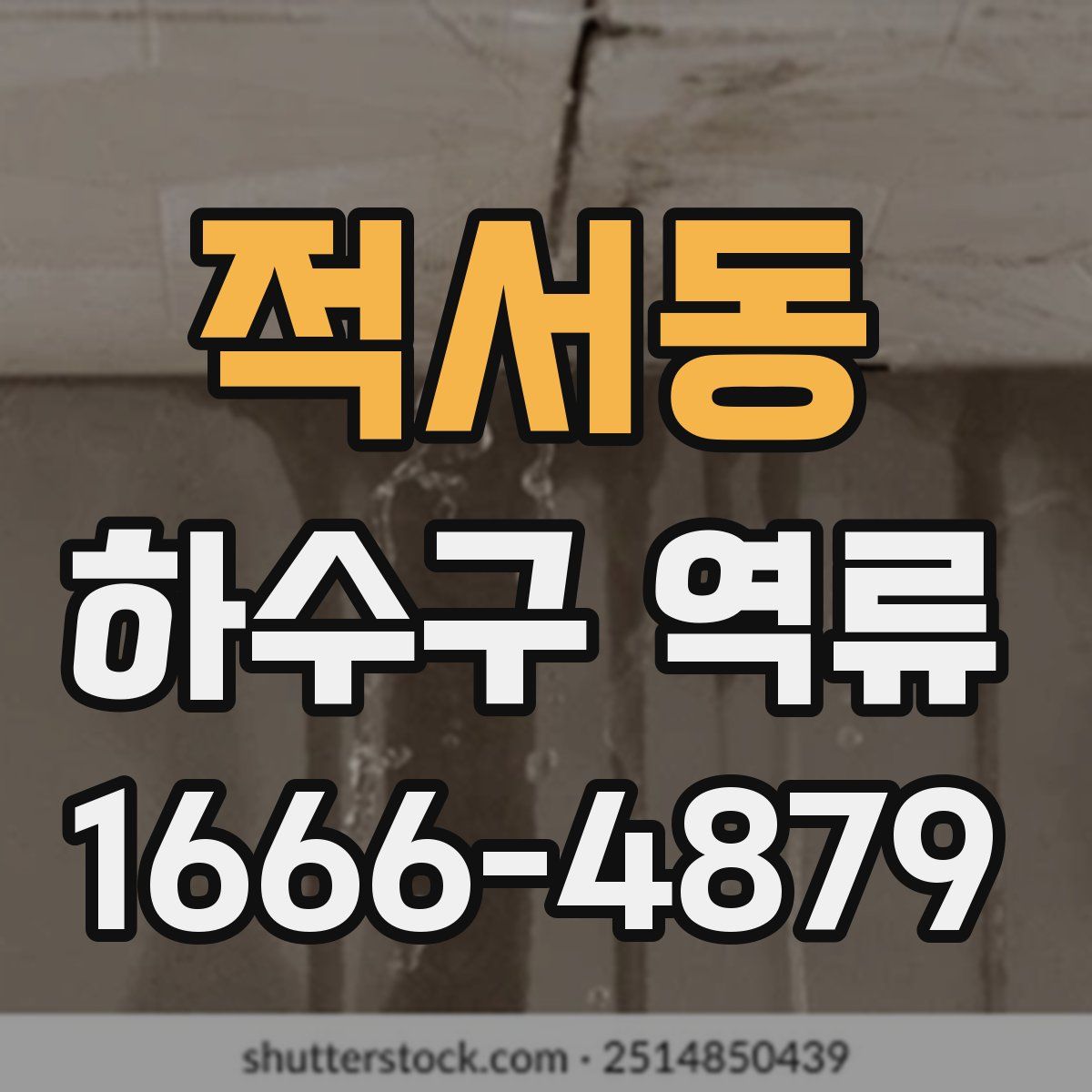 적서동 하수구 역류
