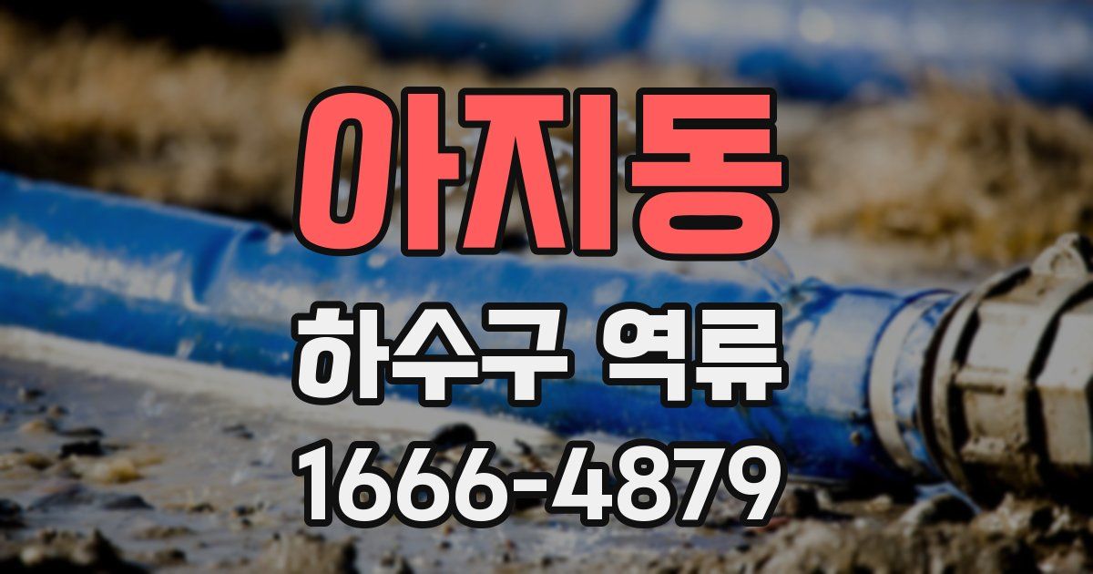 아지동 하수구 역류