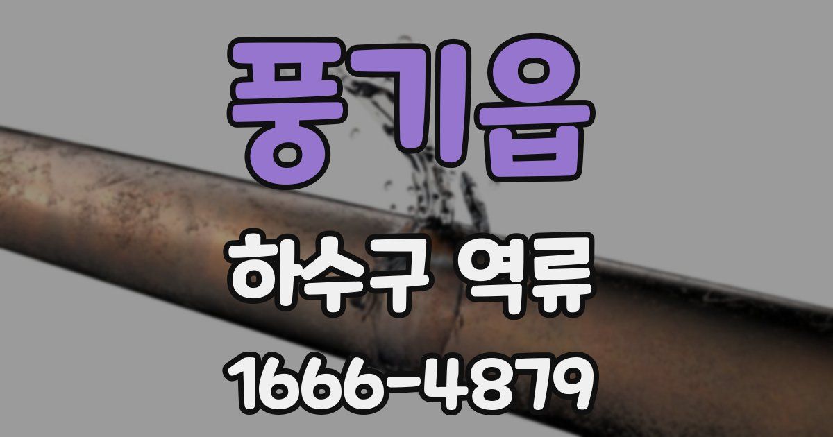 풍기읍 하수구 역류
