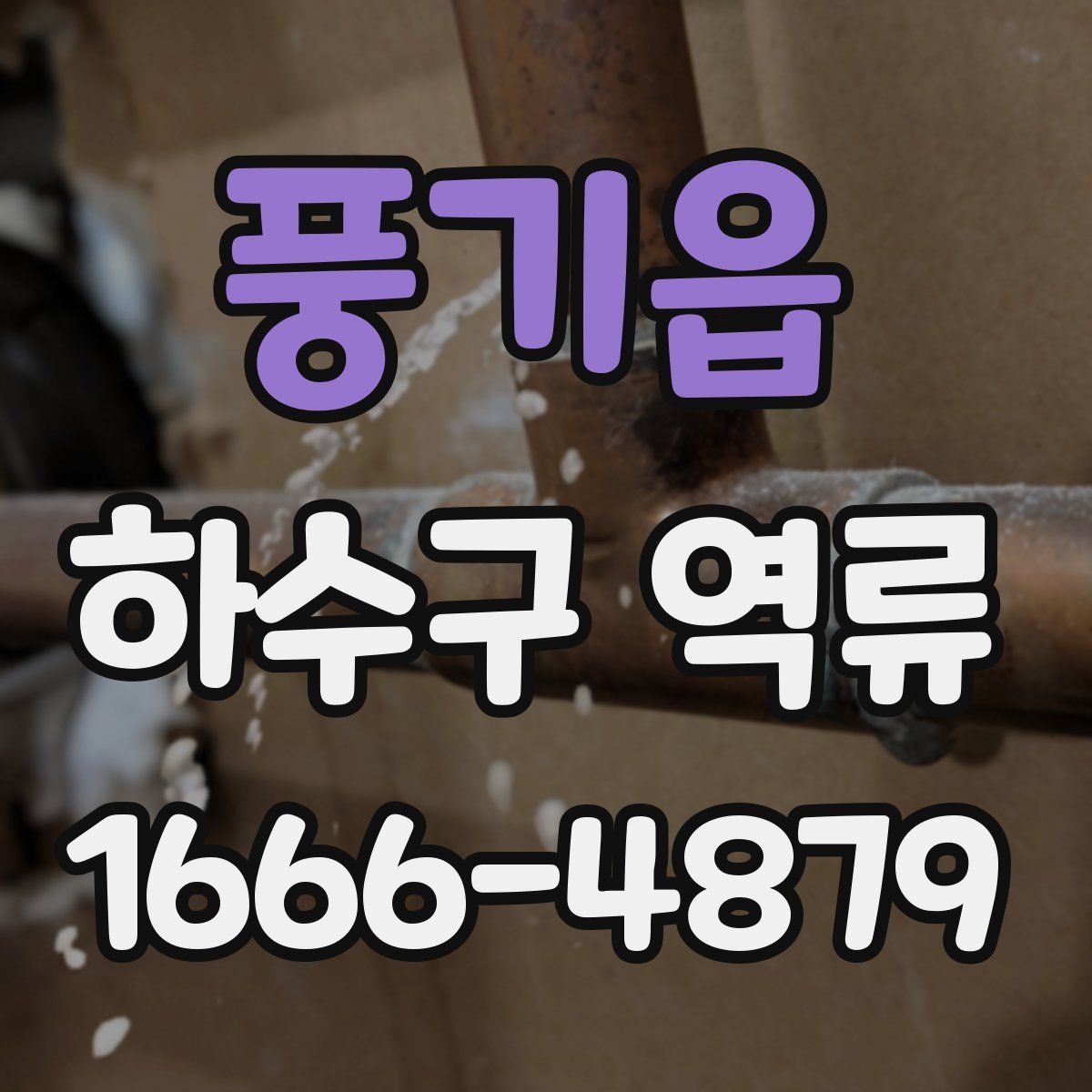 풍기읍 하수구 역류