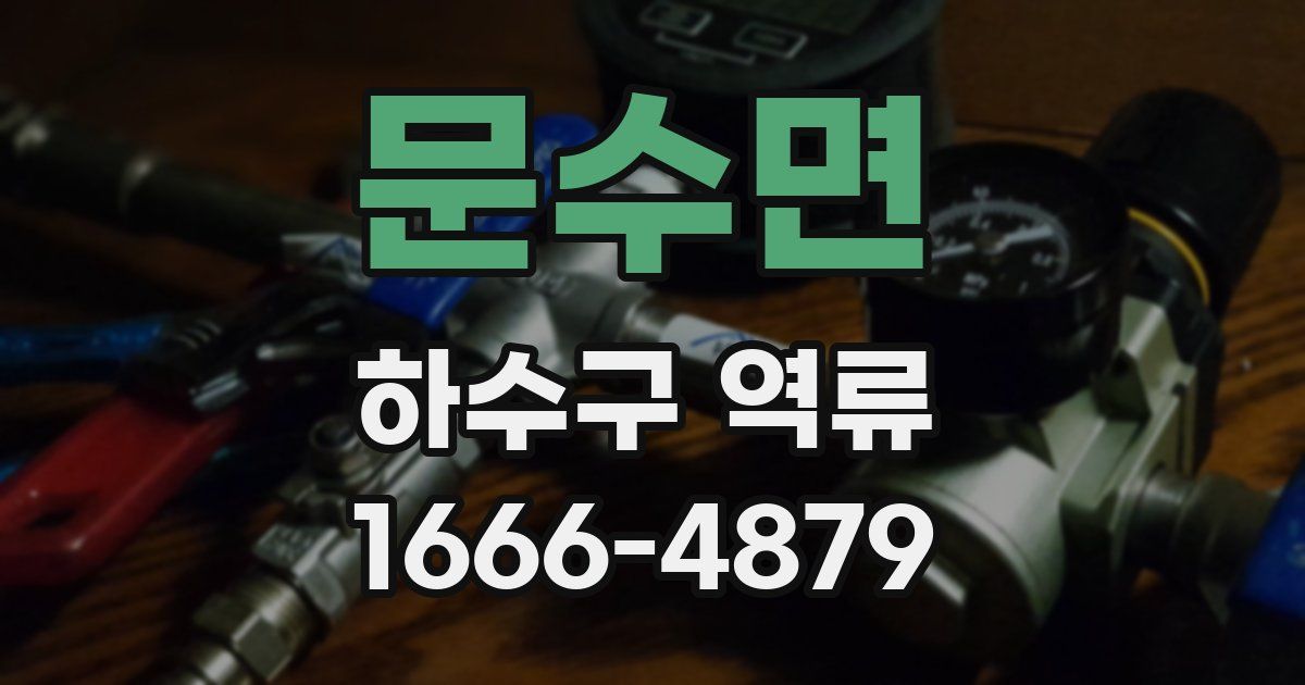 문수면 하수구 역류