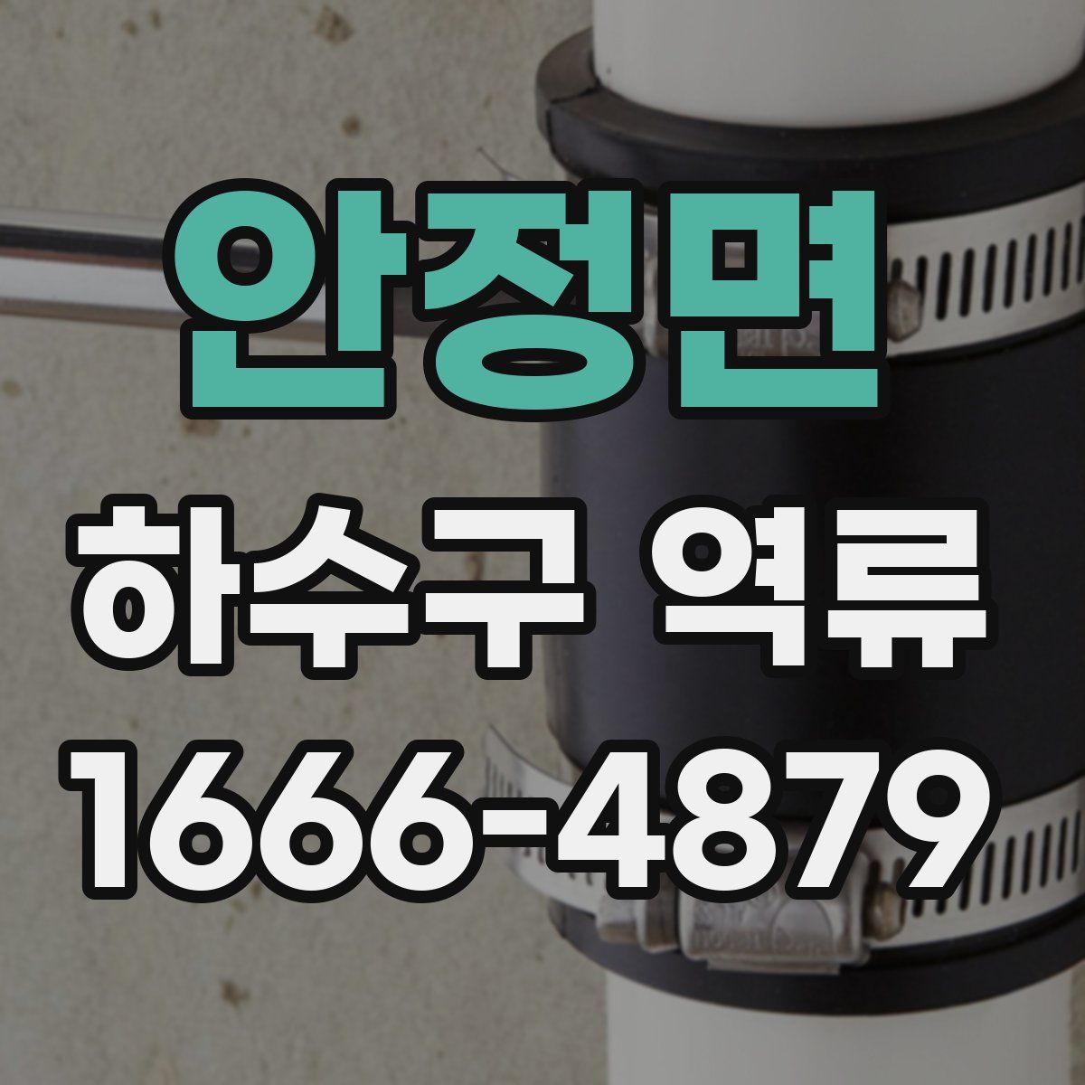 안정면 하수구 역류
